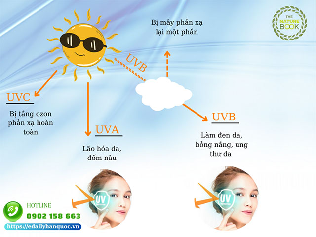 Cách phân biệt tia UVA - UVB - UVC như thế nào?