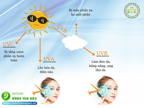 Phân Biệt Tia UVA - UVB - UVC