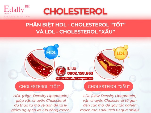 Phân biệt mỡ máu xấu và mỡ máu tốt để bảo vệ sức khỏe tim mạch Phân biệt mỡ máu xấu và mỡ máu tốt để bảo vệ sức khỏe tim mạch