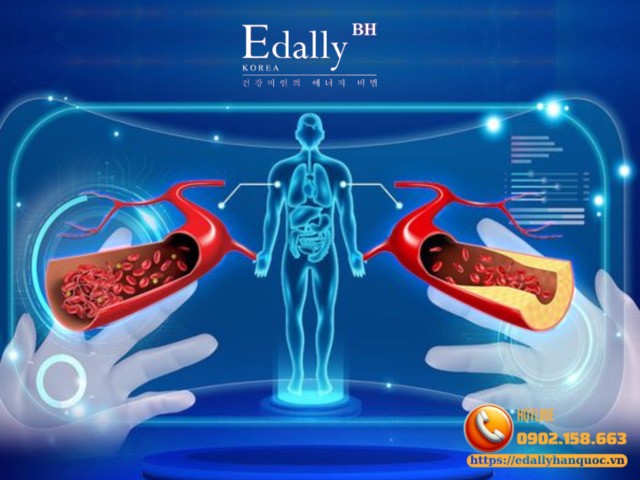 Phân Giai Đoạn Và Xử Trí Rối Loạn Chuyển Hóa Toàn Thân (Systemic Metabolic Disorders - SMD)