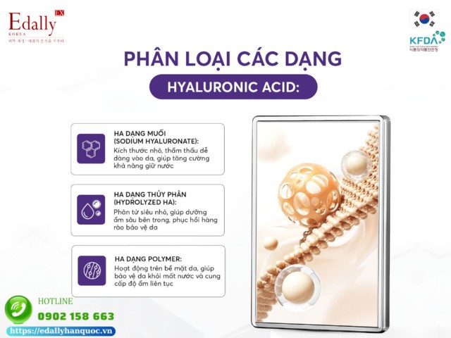 Các dạng Hyaluronic Acid (HA) trong mỹ phẩm chăm sóc da