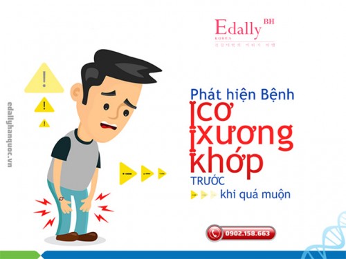 Các Loại Bệnh Cơ Xương Khớp Thường Gặp