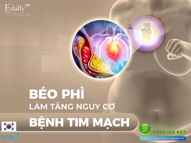 Phụ nữ càng lớn tuổi càng khó giảm cân dẫn đến thừa cân béo phì và dễ mắc các bệnh lý tim mạch