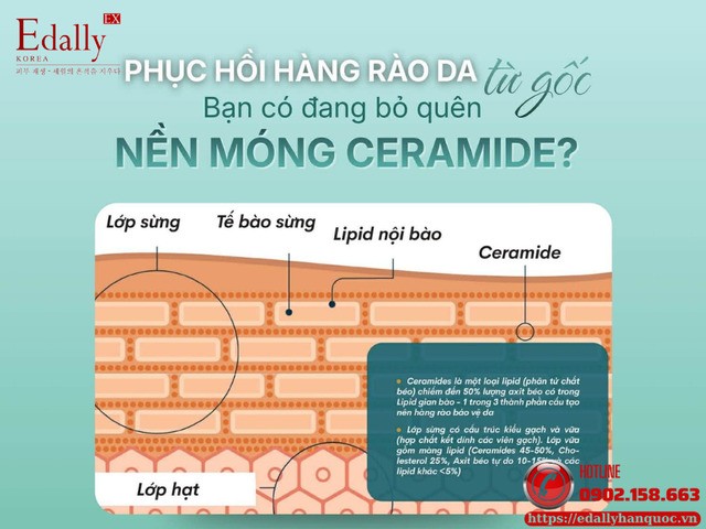Phục hồi hàng rào da từ gốc: Bạn có quên Ceramide - nền móng da khỏe?