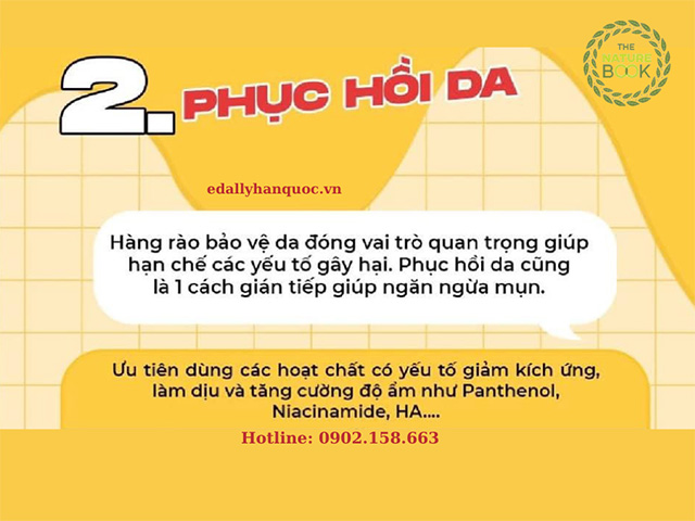 Với làn da dầu mụn hãy chú ý đến việc phục hồi da