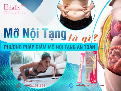 Cách Nhận Biết Mỡ Nội Tạng? Làm Sao Để Giảm Mỡ Nội Tạng?