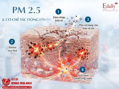 Bụi Mịn PM2.5 - Lý Do Da Bạn Mãi Không Hết Viêm Dù Chăm Da Rất Kỹ
