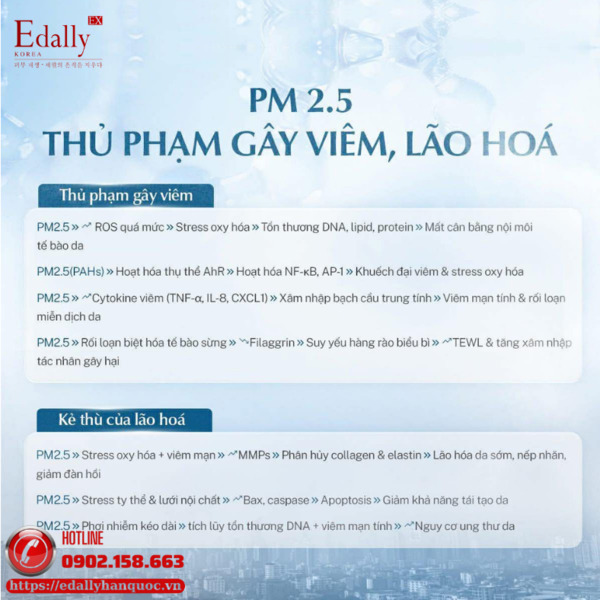 Bụi mịn PM2.5 - Thủ phạm gây viêm và lão hóa da