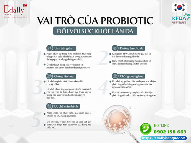 Probiotic có vai trò gì đối với sức khỏe làn da?