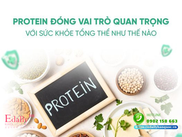 Nhóm dinh dưỡng protein đóng vai trò quan trọng đối với sức khỏe thể chất và tinh thần