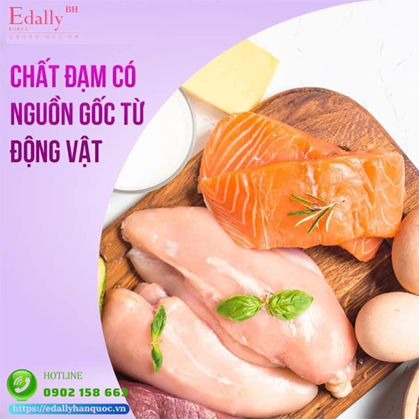 Protein động vật