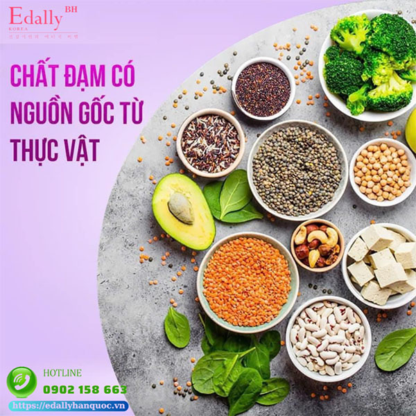 Protein thực vật