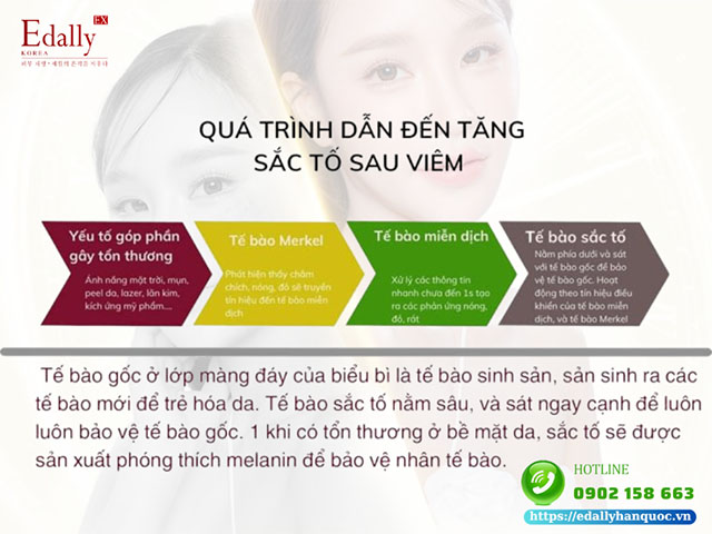 Quá trình dẫn đến tăng sắc tố sau viêm