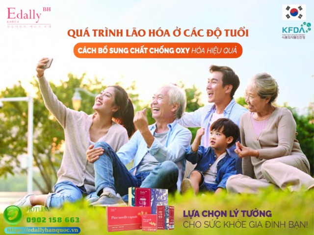 Quá trình lão hoá ở các độ tuổi và cách bổ sung chất chống oxy hoá hiệu quả