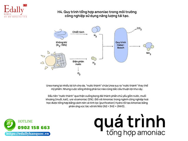 Quá trình tổng hợp amoniac