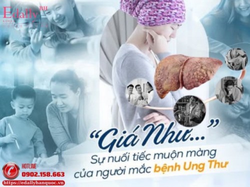 Ung Thư Do Gan Nhiễm Độc - Quan Niệm Sai Lầm
