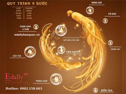 Quy Trình 9 Bước Chế Biến Hồng Sâm Hwa Pyung Sam Edally Từ Nhân Sâm Tươi