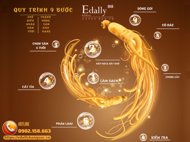 Quy trình 9 bước chế biến củ Nhân sâm tươi thành Hồng sâm hảo hạng