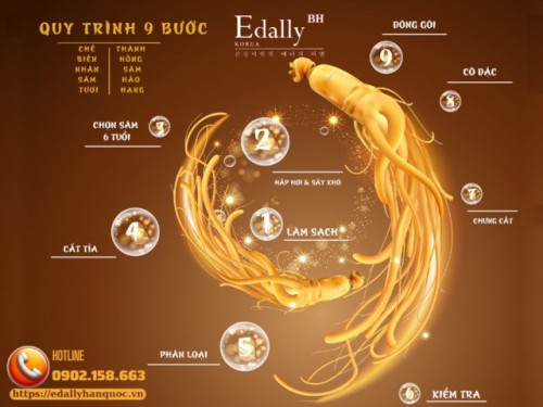 Chặng Đường Tinh Luyện Từ Củ Nhân Sâm Tươi Đến Hồng Sâm Thượng Hạng