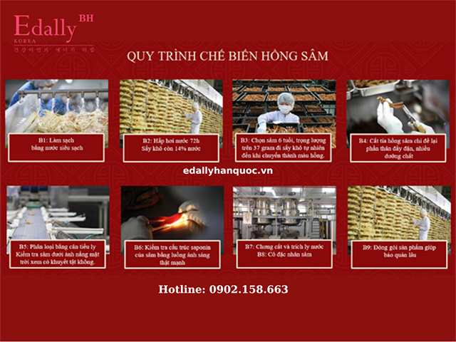 Quy trình sản xuất Hồng sâm Hàn Quốc (Red Jinseng)