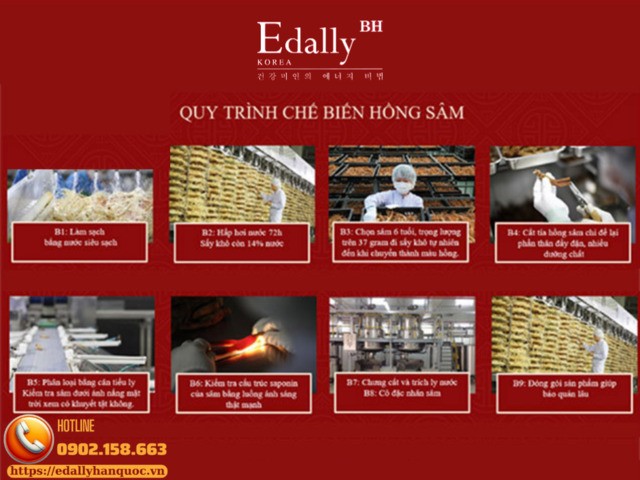 Quy chế biến Hồng sâm từ củ Nhân sâm tươi