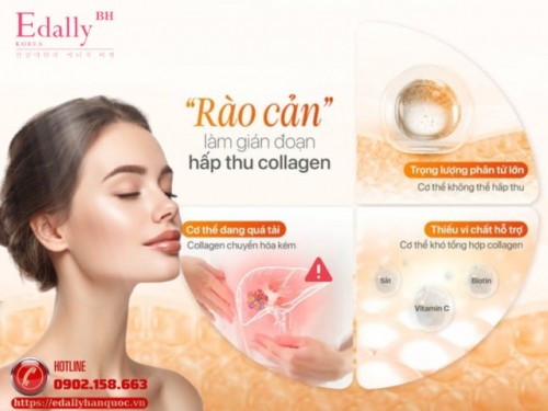Rào Cản Làm Gián Đoạn Khả Năng Hấp Thu Collagen Của Cơ Thể