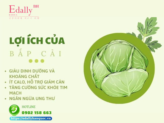 Tác dụng giảm cân của rau Bắp cải