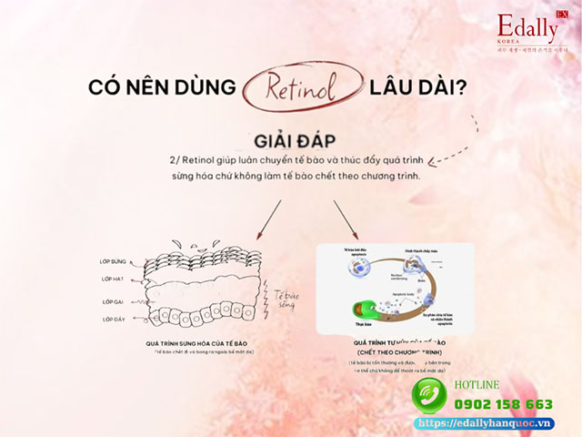 Retinol giúp luân chuyển tế bào và thúc đẩy quá trình sừng hóa chứ không làm chết tế bào