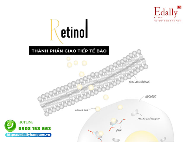 Retinol là thành phần giao tiếp tế bào