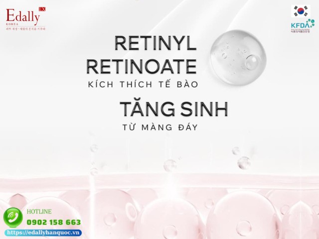 Retinyl retinoate kích thích tế bào tăng sinh từ màng đáy DEJ