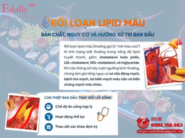 Rối loạn lipid máu: Bản chất, nguy cơ và hướng xử trí ban đầu