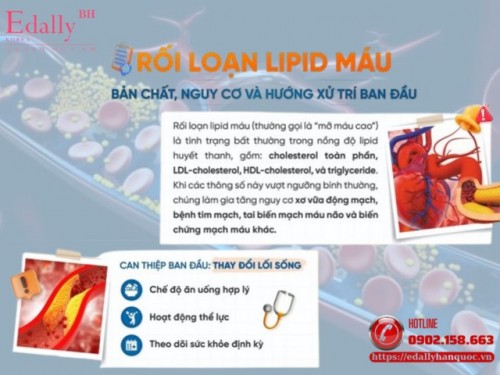 Rối Loạn Lipid Máu: Bản Chất, Nguy Cơ Và Hướng Xử Trí Ban Đầu