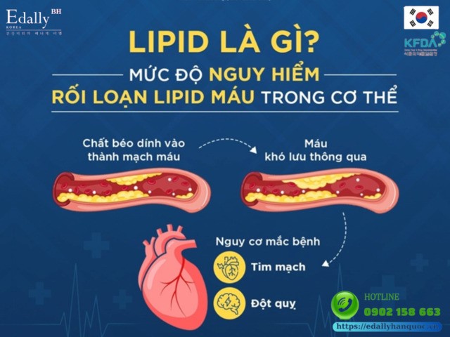 Rối loạn lipid máu và những điều cần biết