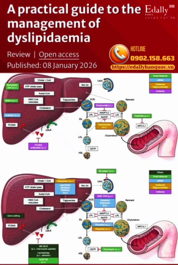 Rối loạn lipid máu theo hướng dẫn thực hành châu Âu 2026