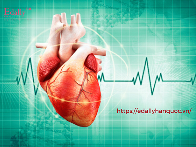 Rối loạn nhịp tim gây ra nhiều bệnh lý nguy hiểm