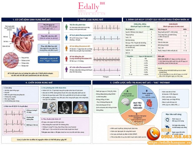 Rung Nhĩ (AF): Từ Cơ Chế Bệnh Sinh Đến Chiến Lược Điều Trị (Phần 1)