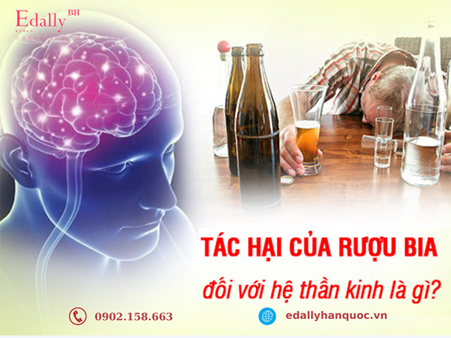 Rượu bia giết chết tế bào não bộ và thần kinh như thế nào?