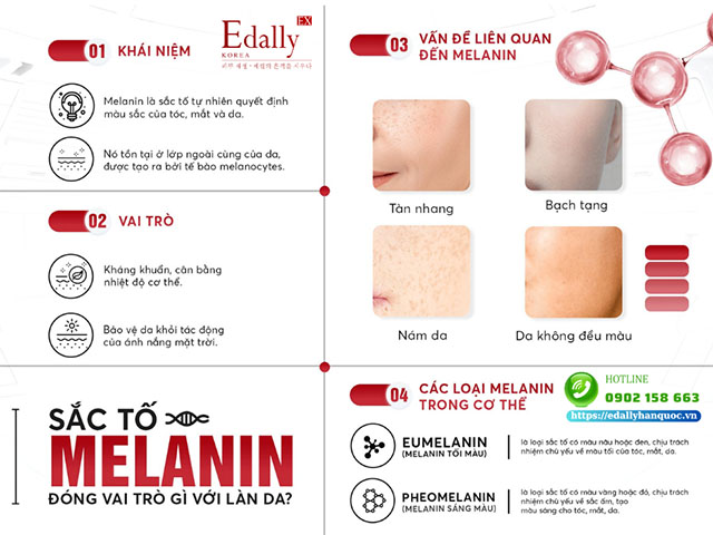 Sắc tố melanin là gì và đóng vai trò gì đối với làn da?