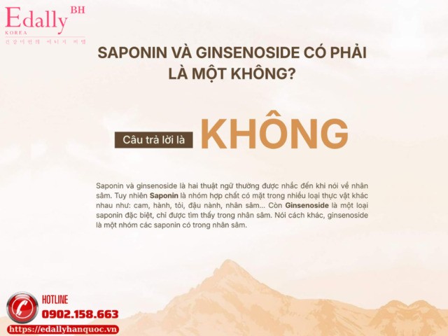 Saponin và Ginsenoside trong Nhân sâm có phải là một không?