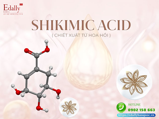 Shikimic Acid - Ngôi sao mới trong làng skincare với nhiều lợi ích kinh ngạc