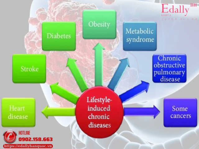 Sơ đồ các bệnh mạnh tính Sơ đồ các bệnh mạnh tính