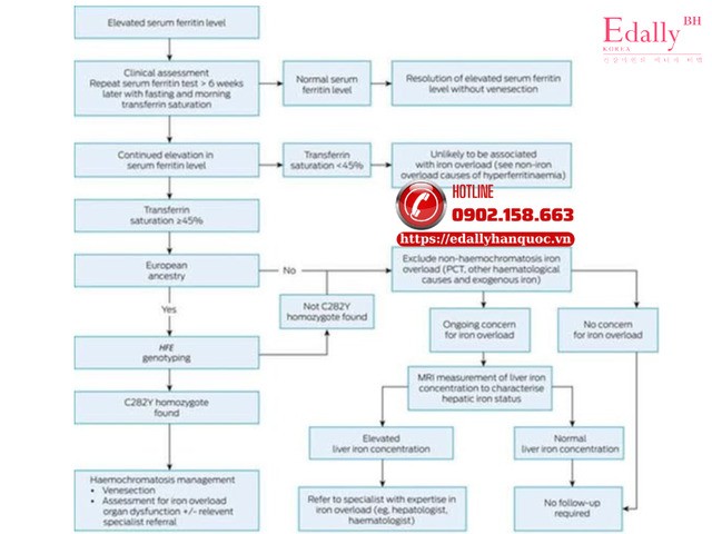 Sơ đồ chẩn đoán tăng Ferritin máu Sơ đồ chẩn đoán tăng Ferritin máu