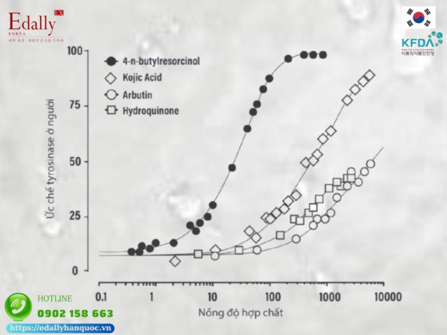 Đánh giá hiệu quả của 4-Butylresorcinol so với Kojic Acid, Hydroquinone, Arbutin trong cùng thời gian sử dụng (JEADV, năm 2013)