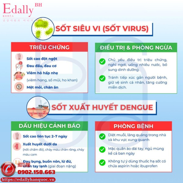 Sốt virus và sốt xuất huyết Dengue là bệnh lý lây nhiễm phổ biến trong mùa mưa