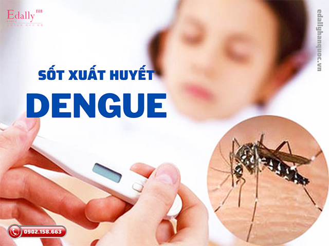 Sốt xuất huyết Dengue và những điều cần biết để phòng ngừa biến chứng