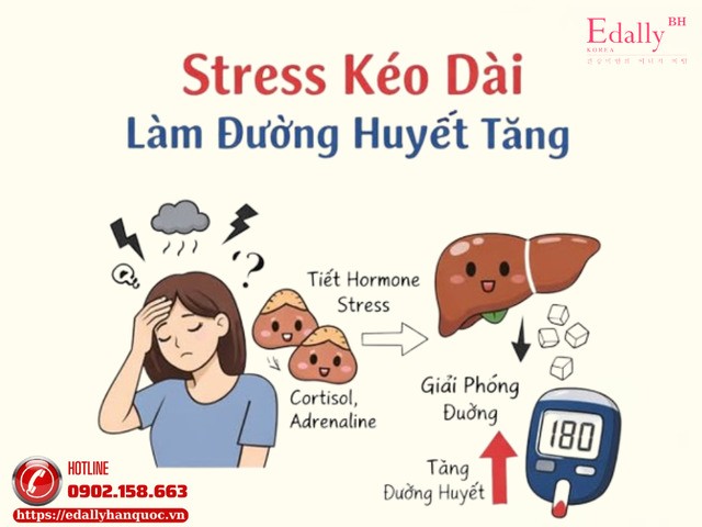 Stress Kéo Dài Làm Đường Huyết Tăng Như Thế Nào?