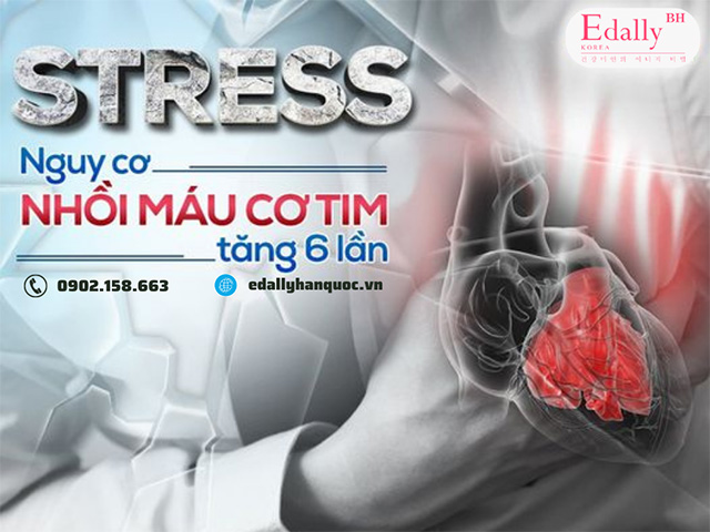 Stress gây nguy cơ nhồi máu cơ tim cao gấp 6 lần