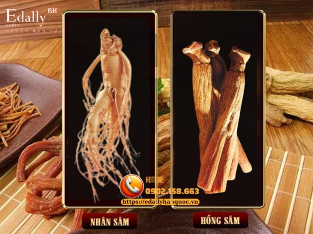 Sự khác nhau giữa cây Hồng sâm và cây Nhân sâm