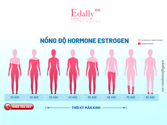Sự thiếu hụt hormone nội tiết tố nữ Estrogen là nguyên nhân dẫn đến tiền mãn kinh ở phụ nữ