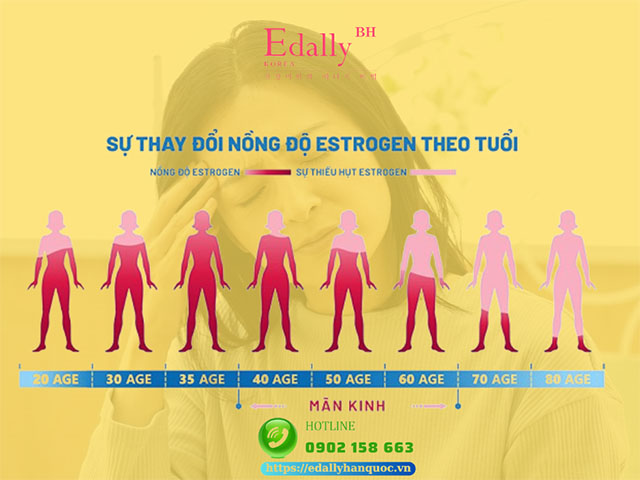 Sự suy giảm nồng độ estrogen là nguyên nhân gây ra các dấu hiệu rối loạn ở phụ nữ tiền mãn kinh